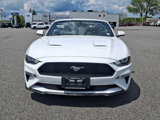 Certified 2019 Ford Mustang Premium image 2