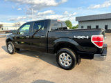 Used 2013 Ford F150 XLT w/ Luxury Equipment Group image 2