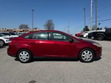 Used 2014 Ford Focus SE w/ SE Winter Package image 2