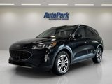 Used 2020 Ford Escape SEL image 3