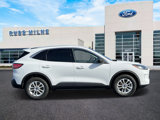 Used 2022 Ford Escape SE image 2