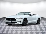 Used 2018 Ford Mustang Premium w/ Equipment Group 201A image 2