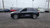 Used 2021 Ford Escape SEL image 5