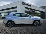 New 2025 Lexus UX 300h AWD image 3