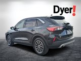 Used 2022 Ford Escape SE w/ Convenience Package image 5