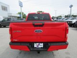 Used 2016 Ford F150 XLT w/ Equipment Group 301A Mid image 6