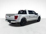 Used 2021 Ford F150 XLT w/ Equipment Group 302A High image 2