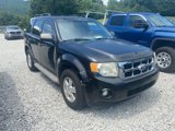 Used 2011 Ford Escape XLT w/ 202A Rapid Spec Order Code image 3