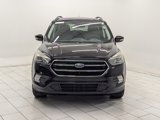 Used 2017 Ford Escape Titanium image 3