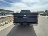 Used 2013 Ford F150 XLT w/ Luxury Equipment Group image 6