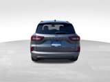 Used 2024 Ford Escape ST-Line w/ Tech Pack #1 image 5
