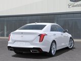 New 2025 Cadillac CT4 Premium Luxury image 5