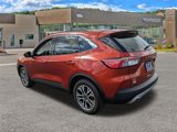 Used 2020 Ford Escape SEL image 5