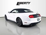 Used 2022 Ford Mustang Premium image 5