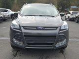 Used 2015 Ford Escape SE w/ Equipment Group 201A image 4