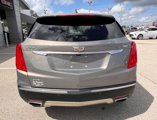 Used 2019 Cadillac XT5 Platinum image 5
