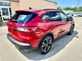 Used 2022 Ford Escape SE w/ SE Sport Appearance Package image 5