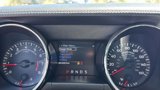 Used 2016 Ford Mustang Premium w/ Equipment Group 201A image 6
