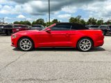 Used 2015 Ford Mustang Premium w/ Equipment Group 201A image 4