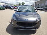 Used 2020 Ford Escape SEL image 3