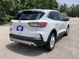 Used 2022 Ford Escape SE image 5