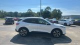 Used 2022 Ford Escape SE w/ SE Sport Appearance Package image 4