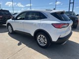 Used 2020 Ford Escape SE image 4