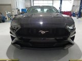 Certified 2021 Ford Mustang Premium image 2