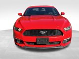 Used 2015 Ford Mustang Premium image 4