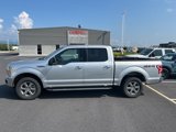 Used 2019 Ford F150 XLT w/ Equipment Group 302A Luxury image 2