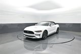Certified 2023 Ford Mustang Premium image 3