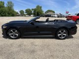 Used 2015 Ford Mustang Convertible w/ Equipment Group 051A image 2