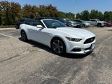 Used 2015 Ford Mustang Convertible w/ Equipment Group 051A image 4