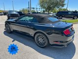 Certified 2019 Ford Mustang Premium w/ Equipment Group 201A image 5