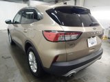 Used 2020 Ford Escape SE image 4
