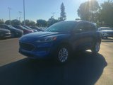 Certified 2022 Ford Escape SE w/ Convenience Package image 3