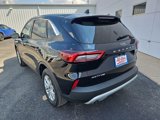 Used 2024 Ford Escape Active image 5