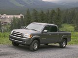 Used 2006 Toyota Tundra Darrell Waltrip Edition image 2