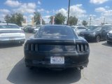 Used 2015 Ford Mustang Coupe w/ Wheel & Stripe Package image 4