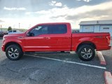 Used 2016 Ford F150 XLT w/ Equipment Group 302A Luxury image 6