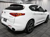 Used 2023 Alfa Romeo Stelvio Veloce image 6