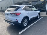Used 2021 Ford Escape SE image 3