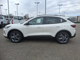 New 2025 Ford Escape ST-Line w/ Tech Pack #1 image 4