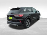 Used 2022 Ford Escape SEL image 6