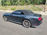 Used 2015 Ford Mustang GT Premium w/ Equipment Group 401A image 4