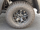 New 2025 RAM 1500 RHO w/ RHO Level 1 Equipment Group image 5