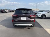 Used 2023 Ford Escape Active w/ Tech Pack #2 image 4