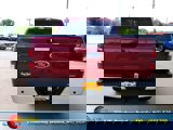 Used 2019 Ford F150 XLT w/ Equipment Group 302A Luxury image 6