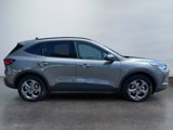 New 2025 Ford Escape ST-Line Elite image 6