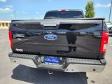 Used 2015 Ford F150 XLT w/ Equipment Group 302A Luxury image 6